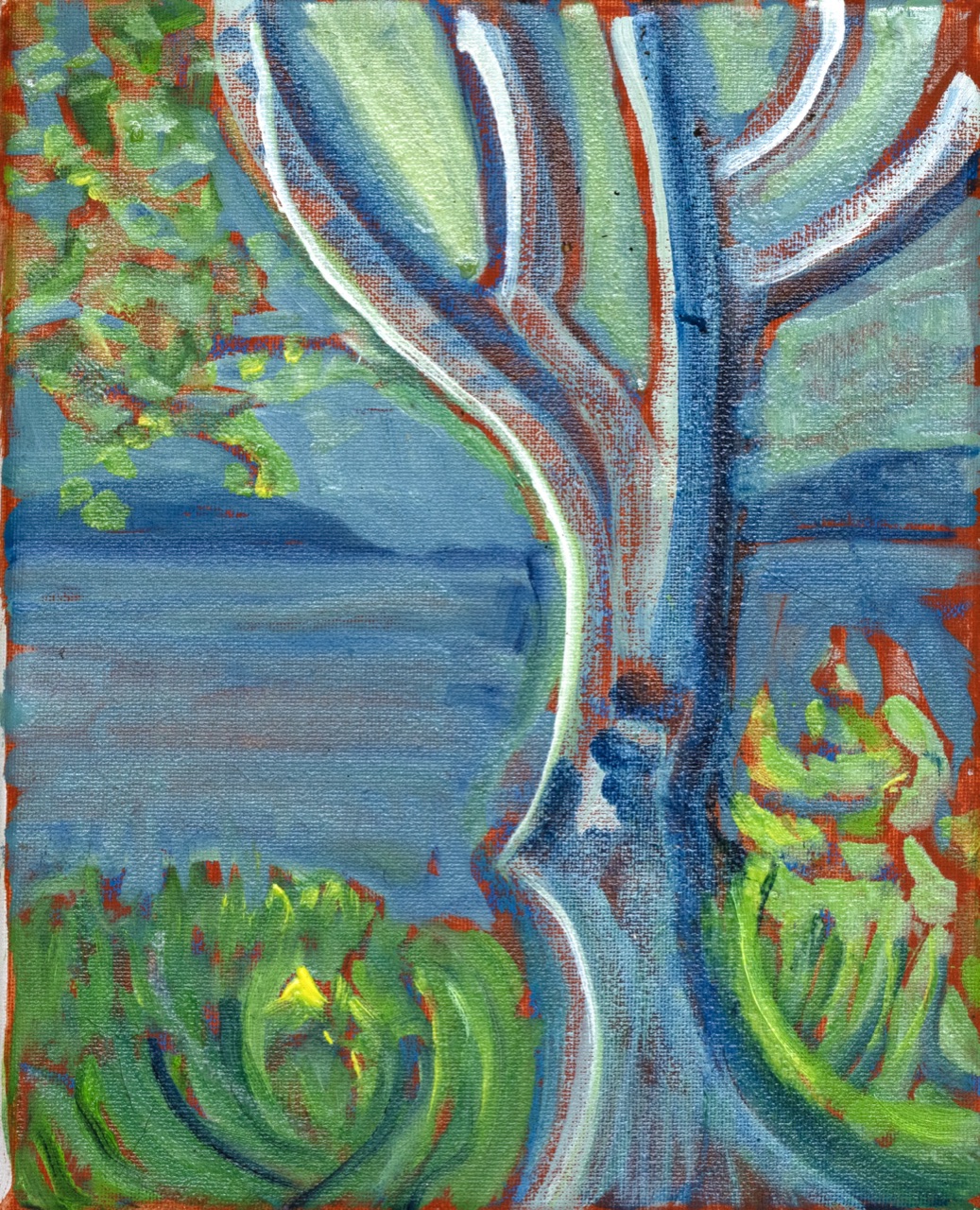 Birch 10 in x 8 in 2026